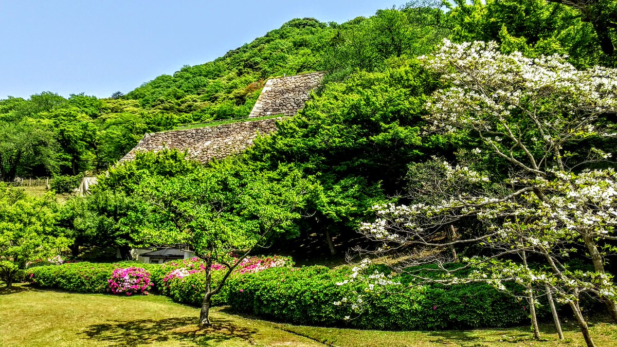 kurousagiX1's tweet photo. ●春の久松山付近の景色です。
・ツツジやハナミズキの花が咲きました。
… #景色 #鳥取 #春 #新緑 https://t.co/gU6Bcay5So