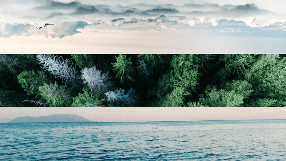 promoshoply's tweet image. Happy #EarthDay! Let's commit to protecting our planet through sustainable practices. Together, we can create a better future for ourselves and the environment. 🌍🌿 #SustainableLiving #PersonalCommitment