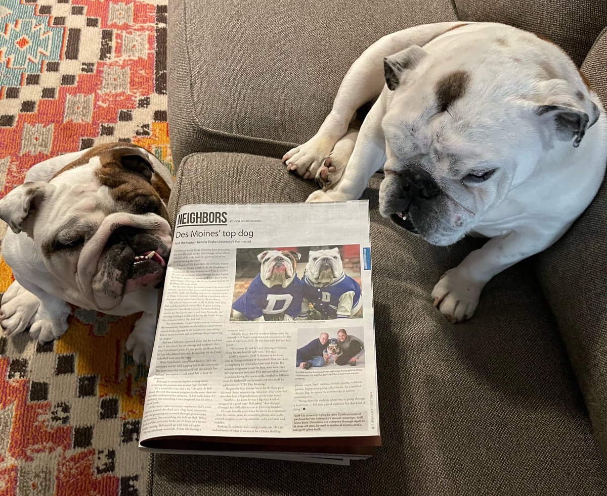 DrakeUGriff's tweet photo. Getting a first look at our @dmcityview Magazine feature. It looks good, right OG? ๐คฉ #DSMHometownDog #IAmSoProudToBeYourDog #OriginalGriff #Porterhouse @DrakeUniversity https://t.co/nTcSMQWXsP