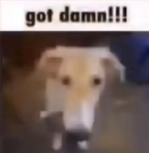 BUG CHUNGGY tweet media