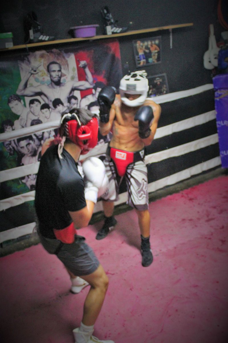 DecalogoOficial's tweet image. #sma
Se enfrentarán «cara a cara» por campeonato

👇🏽
decalogonews.com/xports/se-enfr…

#Xports #ShowX #sanmigueldeallende #SanMiguel #sanmiguel #box #función #campeonato #campeón #xpress #boxeador #irapuato #Irapuato #cara #deportistas #deporte #Decálogo