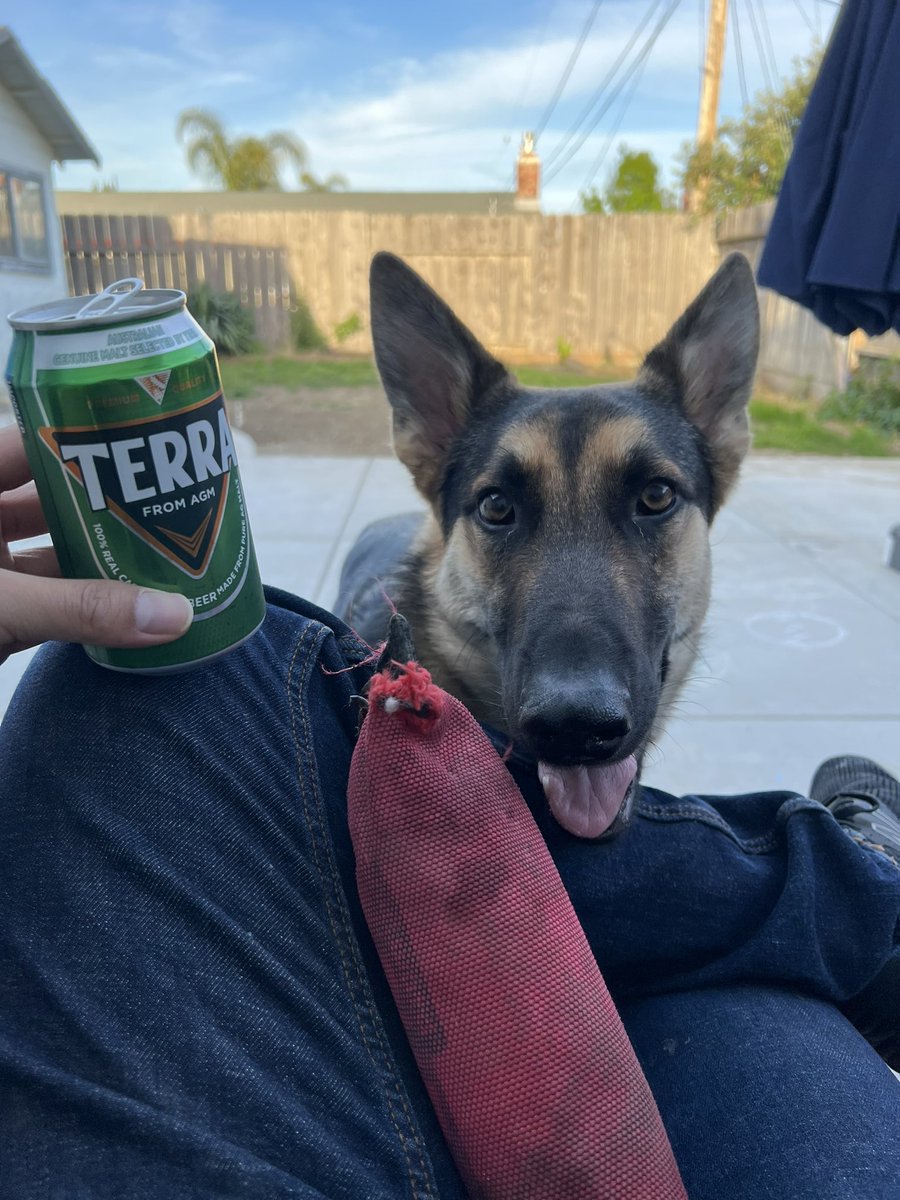 RealKaiyaKen's tweet photo. Happy Friday everyone! Time to crack a cold one open and take in the weekend. #weekendishere #Yorudoggo #beerme https://t.co/o5XmW43klq