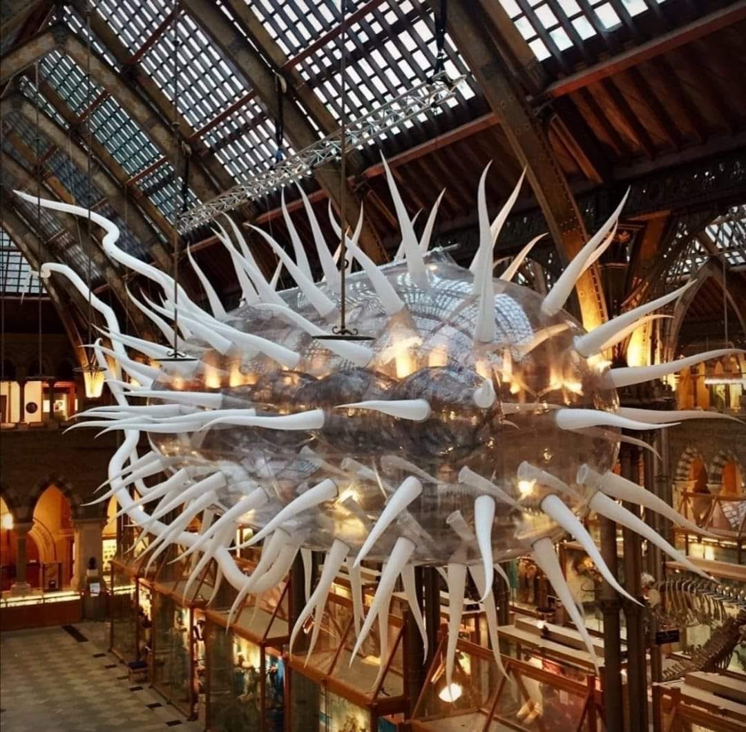 RincnCuriosoo's tweet image. Increíble representación de una Escherichia coli en el Museo de Historia Natural de la Universidad de Oxford.