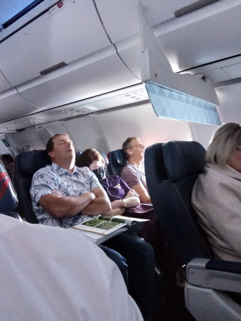 TigerTamer8's tweet image. Effin three of them snoring so loud #cattleclass