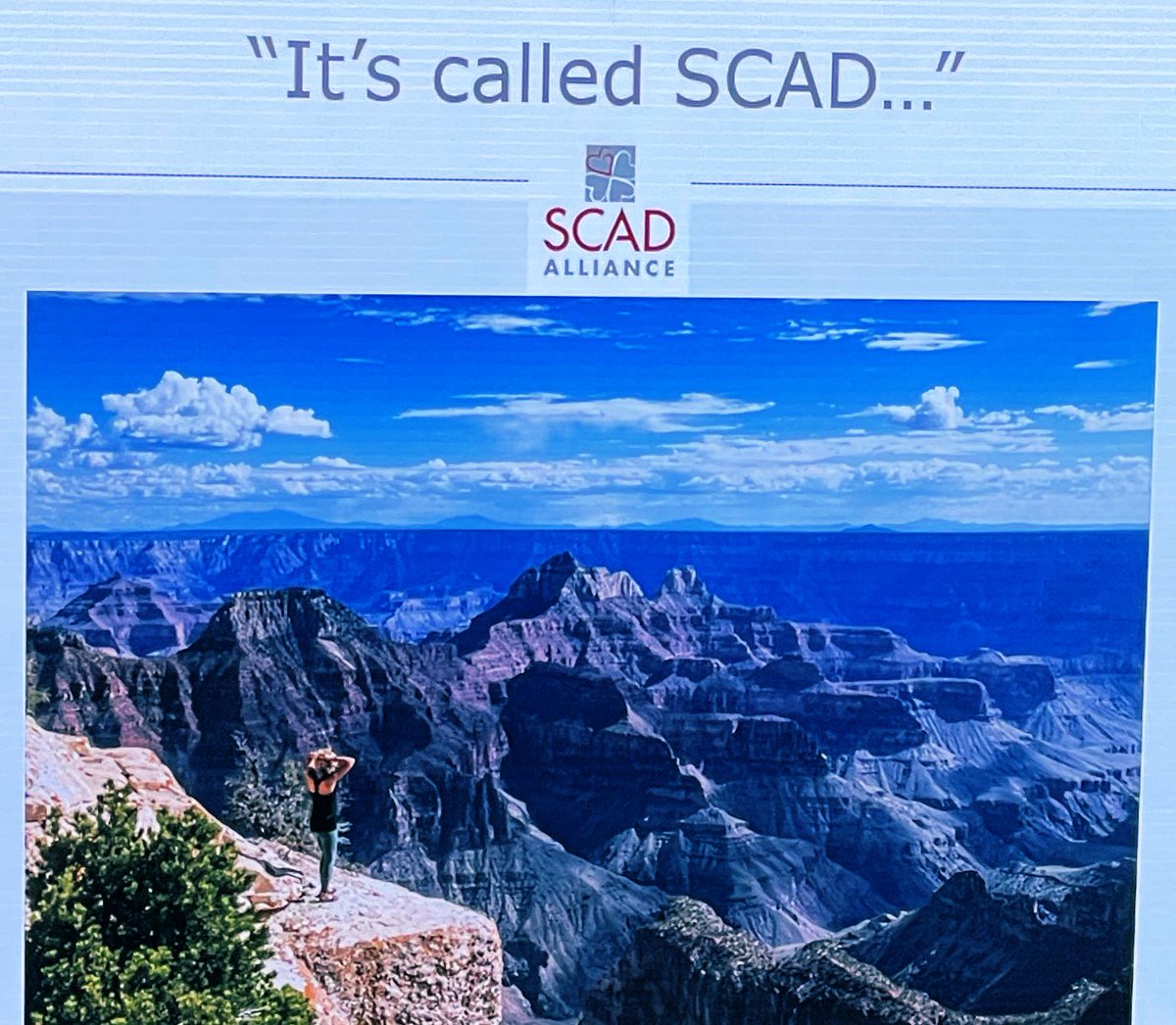 Amazing SCAD conference today! Thanks @EstherSHKimMD @SCADalliance and the Izard family @kathyizardclt for bringing physicians, scientists and patients together to help move forward our understanding of this important disease! #SCAD