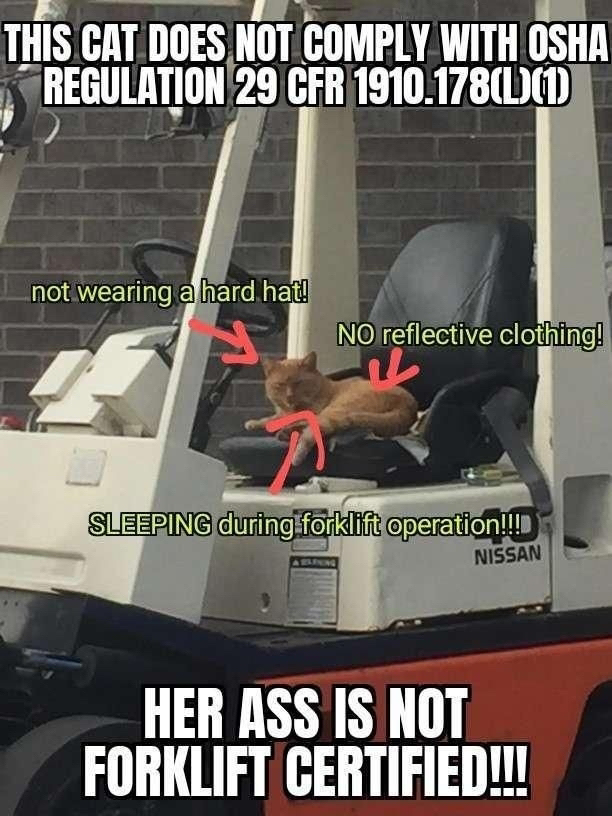 ShitpostGate's tweet photo. https://t.co/xHBDitHZzu