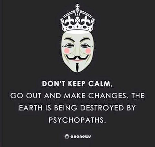 🇵🇸🏴‍☠️🌻TurboKitty🌻🏴‍☠️🇵🇸 tweet media