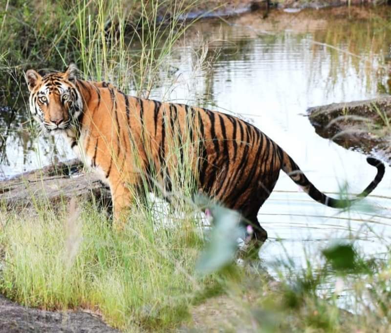 Manoj Sinha tweet media