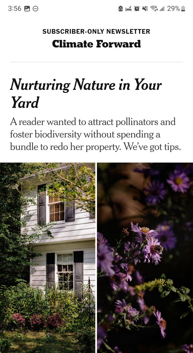 SaveWildBees's tweet photo. It was lovely meeting @CatrinEinhorn in New York early this year and an honour to have our new book included in this wonderful @nytimes article! #NurtureNature #SaveWildBees
Ping @BeesYork @YorkUEUC https://t.co/cZ36apdNH6