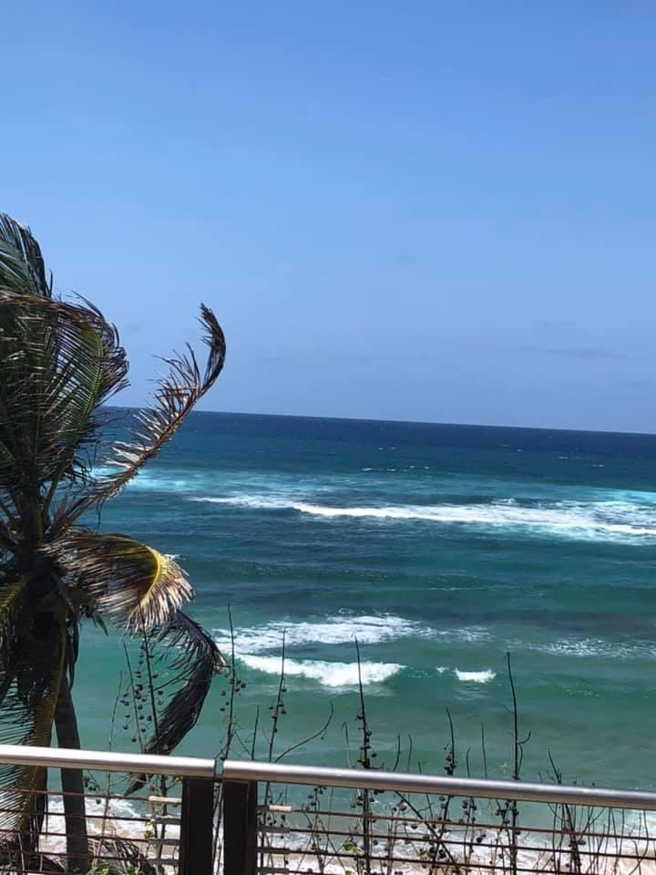 olgavilella's tweet photo. El #Contemplado de #PedroSalinas, fotografiado desde el mismo punto donde el #poeta concibió el #libro #Condado #PuertoRico https://t.co/5IljIKJzHl