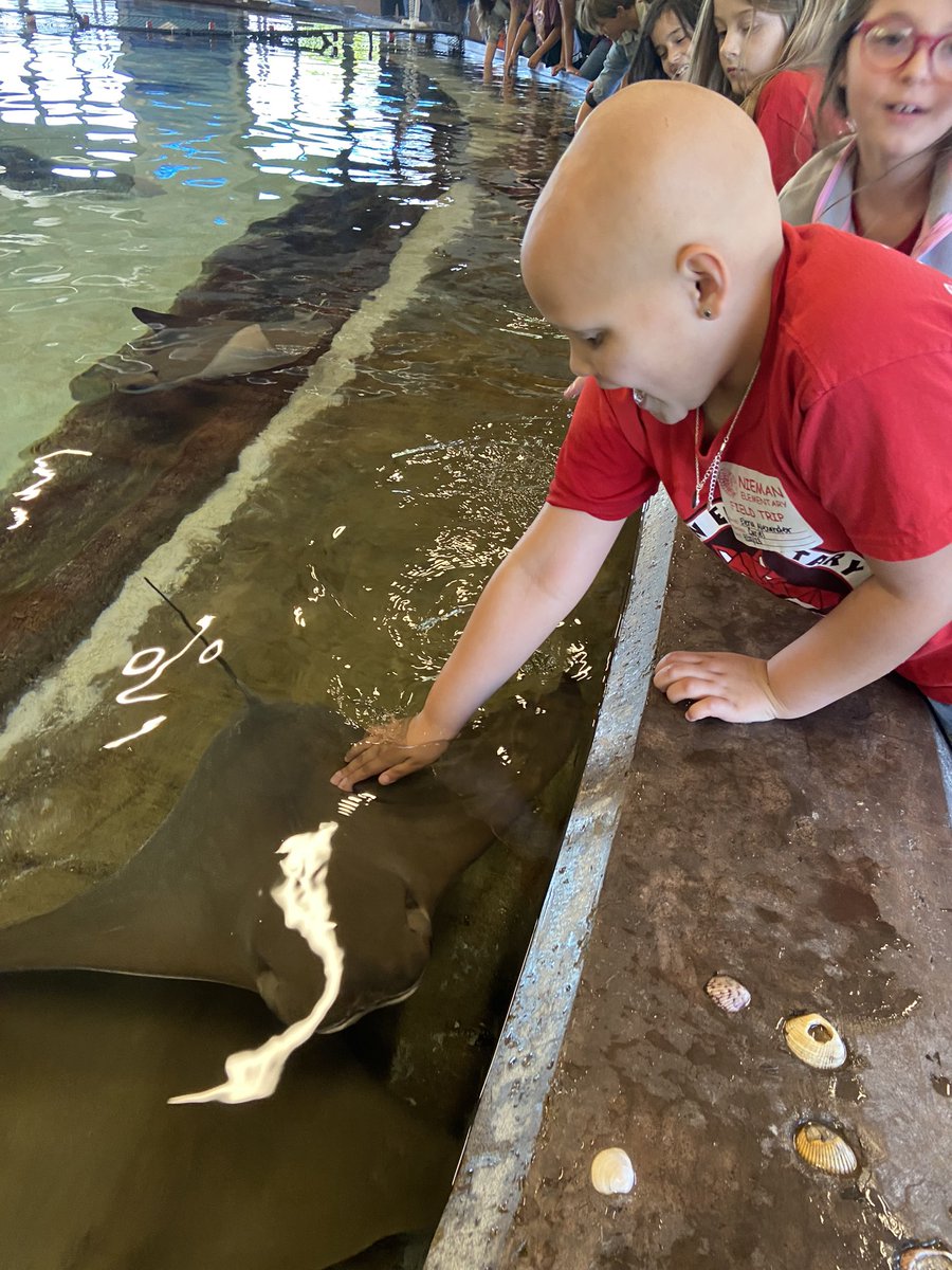 amycur's tweet photo. What a fun day at the zoo! Petting sting rays and all! 🌊🦈 https://t.co/JtWRBXJAMg