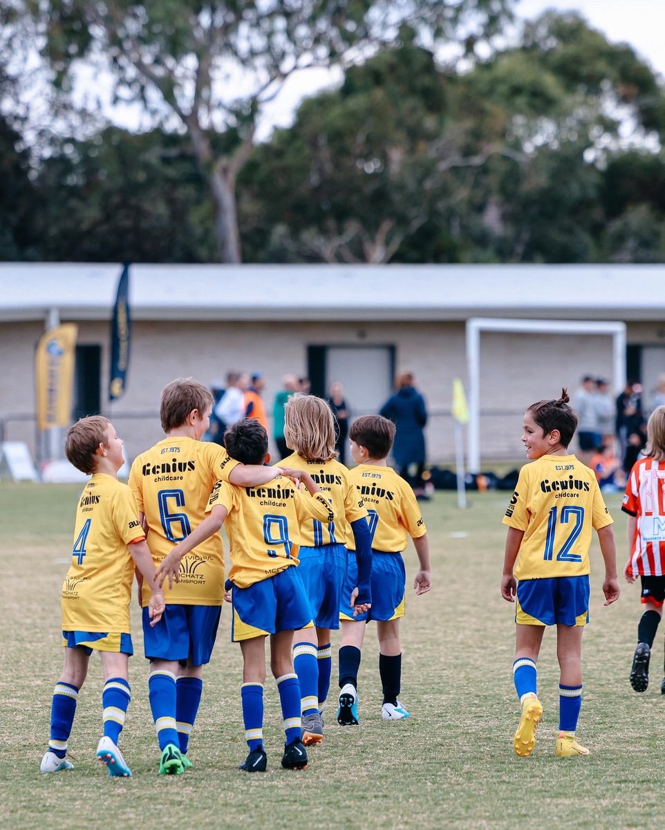 Beaumaris SC tweet media