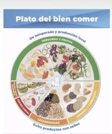 scientianutri's tweet photo. El nuevo Plato del Bien Comer que forma parte de las Nuevas guías alimentarias para la población mexicana. Muchos cambios. ¿Qué les parece? https://t.co/GOThLcH13N