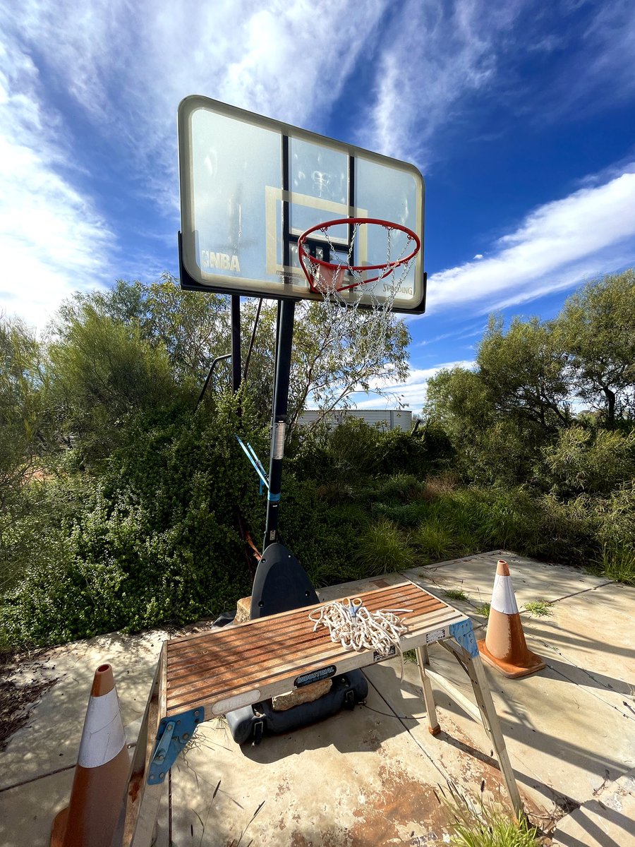 Vanessa Moss tweet media