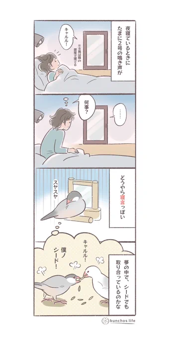 文鳥も夢を見るのか
#文鳥 
#4コマ漫画 

*過去作ダウンロードできます!(固定ツイート参照) 