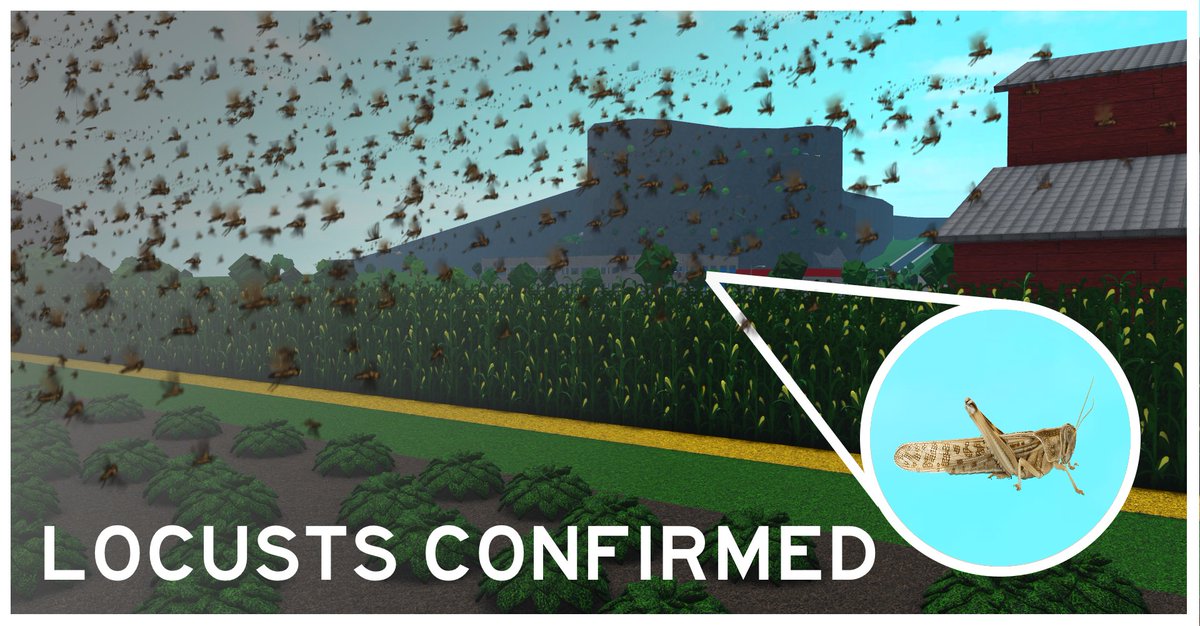 Locusts are confirmed to be added as an ambient animal next update.