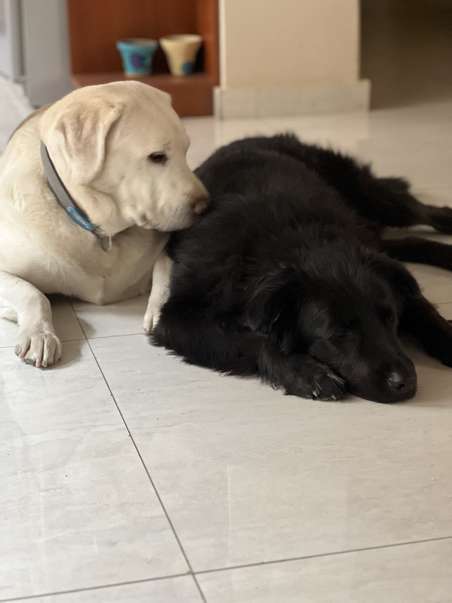 LuisinaFrancese's tweet photo. Reconciliación 🥹 https://t.co/ZSw5CGvs9e
