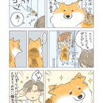 これは叱るに叱れなくなっちゃいそう･･･!愛犬の、いたずらがバレたときの反応を描いた「犬漫画」が話題に!