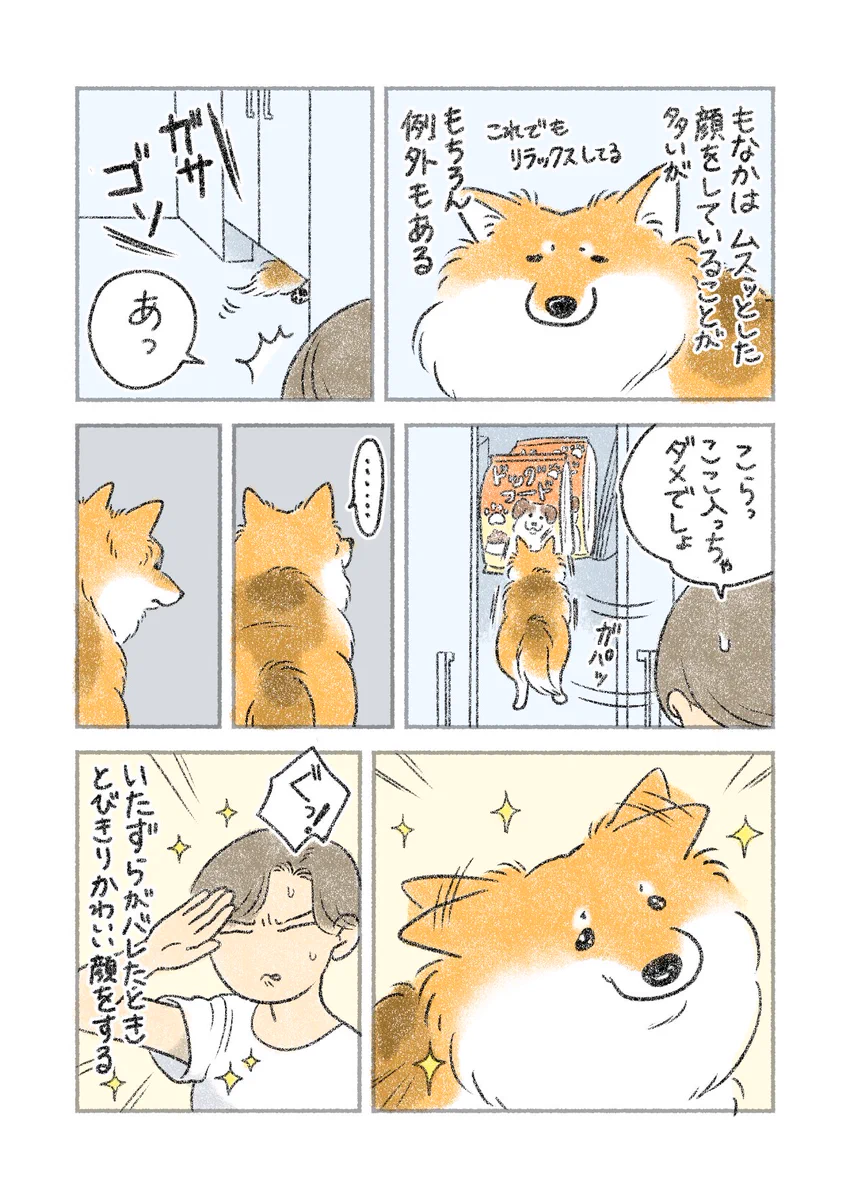 これは叱るに叱れなくなっちゃいそう･･･！愛犬の、いたずらがバレたときの反応を描いた「犬漫画」が話題に！