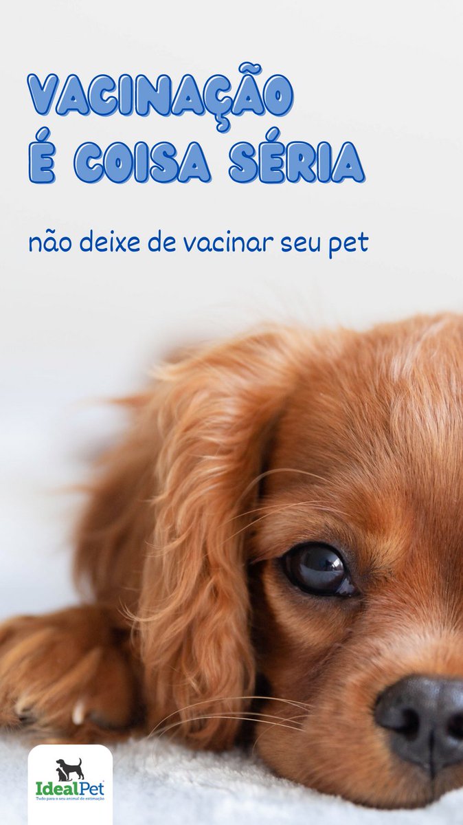 idealpet1's tweet photo. Amor em dose dupla! Vacine seu pet e proteja-o de doenças perigosas. Cuidar do seu animal de estimação é cuidar da sua própria saúde. https://t.co/E3XXIazJDL