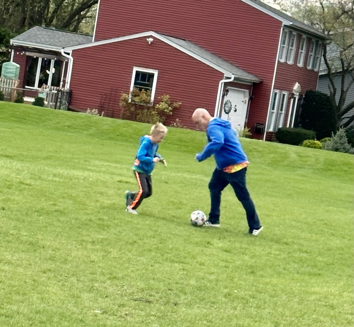 michelle tweet media