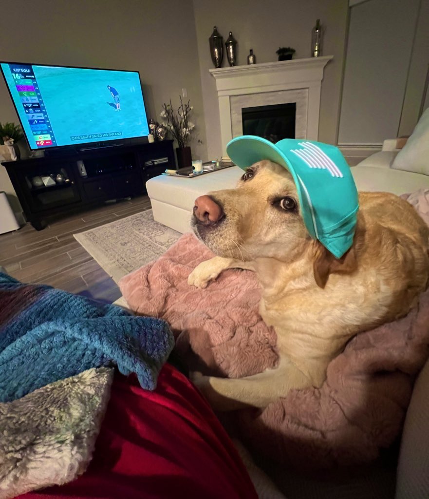 CassieTipps's tweet photo. Watching from Dallas @livgolf_league and have a BIG @TorqueGC_ fan over here. 💚🐶🔩
Hoping to see dad - Scotty Mcguinness, who caddies for Mito! #TeamTorque #GoMito #LIVGolfAdelaide #livbroadcast #livgolf https://t.co/jvtlPOok7j