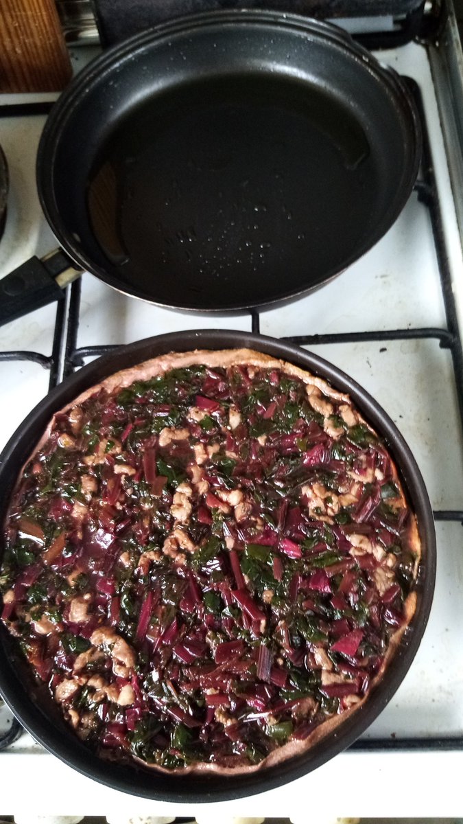 Hugo Moleri 🐶🐱 tweet media