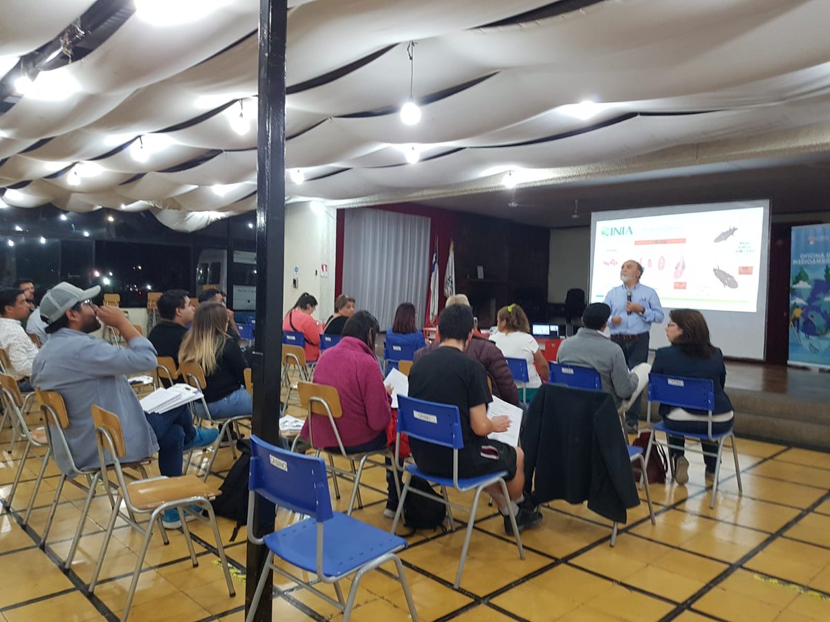ECisternas9's tweet photo. En actividad organizada por la I. Municipalidad  de La Calera tuvimos en la primera capacitación para la comunidad sobre el Chinche del Arce. Es necesario la difusión y transferencia del conocimiento de esta nueva plaga urbana. https://t.co/Hih3nGGRTT