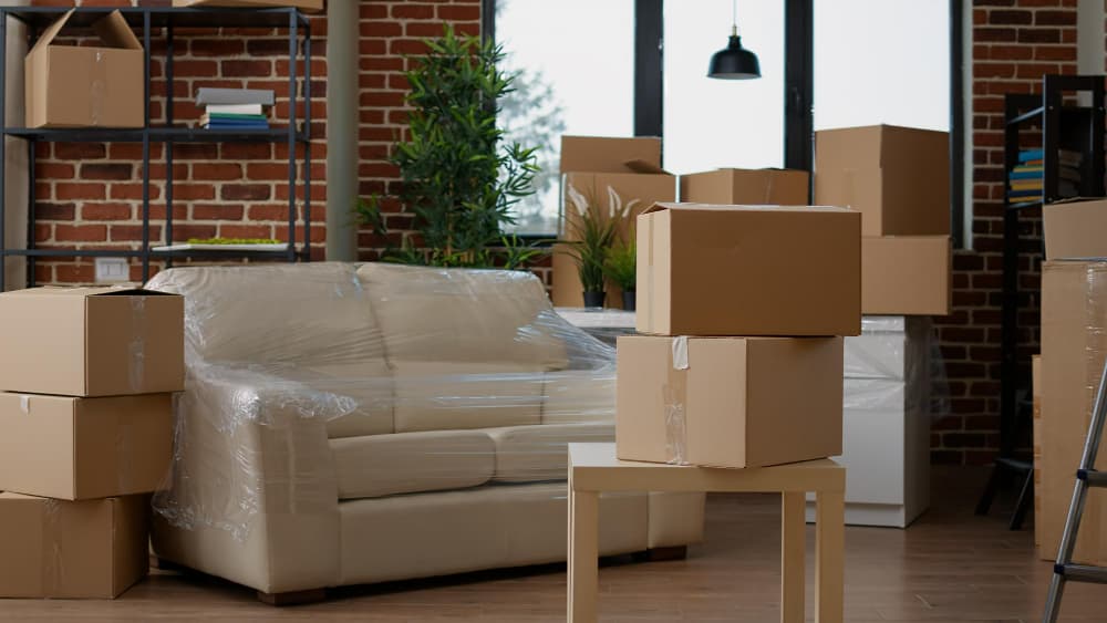 marutilogistics's tweet photo. Ultimate Guide to Choosing the Best Packers and Movers in Ahmedabad

https://t.co/359KhHAhzH

In this article, we will provide you with the ultimate guide to choosing the best packers and movers in Ahmedabad.

#Ahmedabad #Packerandmovers #PackerMover #marutipackersmovers #India https://t.co/oPKyMl8Gw2