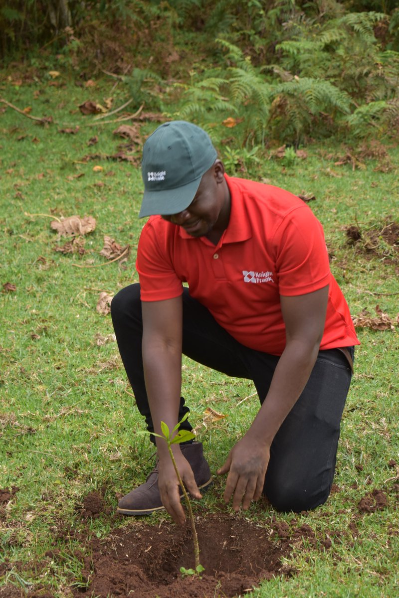 KnightFrankKE's tweet photo. #EarthDay focuses on taking action to #investinourplanet.
Partnering with Kabage Forest and Kenya Forest Service to plant seedlings in 2022, we are working in partnership to enhance peopleโs lives and environments, committing to #partnershipfortheplanet. #ESG https://t.co/8OLghj8Sfq