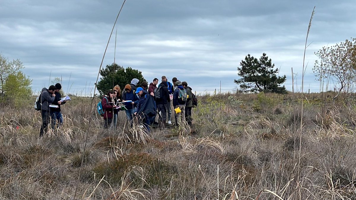 LIFE_REDUNE's tweet photo. Braveharts on Cavallino's highlands 📷📷
Il #vento e il #freddo non spaventa gli #studenti di #scienzeambientali di Università Ca' Foscari Venezia e neppure la #flora delle #dune 📷
@VisitCavallino @LNatura2000 @LIFEprogramme https://t.co/3OAU6Qf8mb