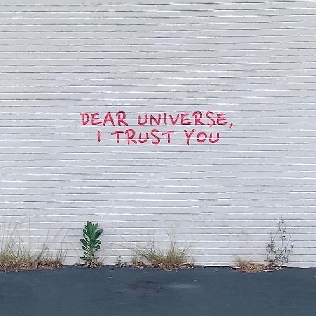 GarfidoJesus's tweet image. I trust you 

#trust #dearuniverse
