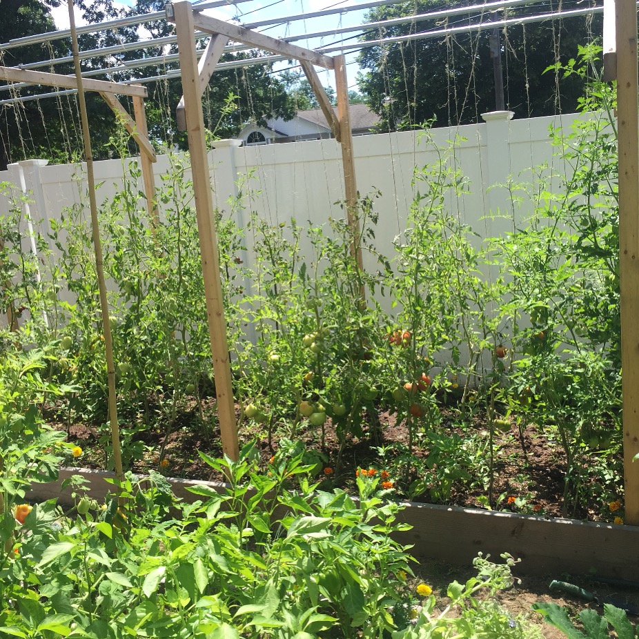 keyotered's tweet photo. @garnierUSA #OneGreenStep #sweepstakes https://t.co/yJLubLttjD