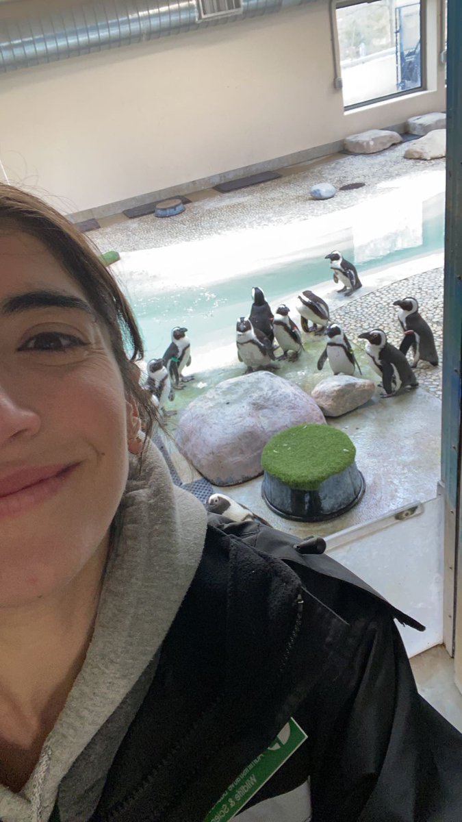 Morgan Dedato tweet media