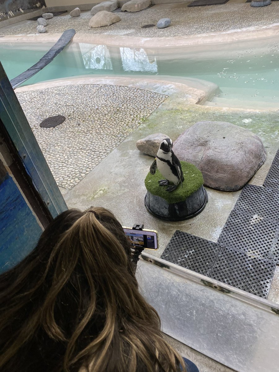 Morgan Dedato tweet media