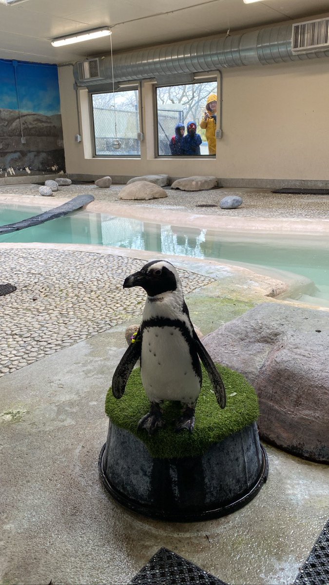 Morgan Dedato tweet media