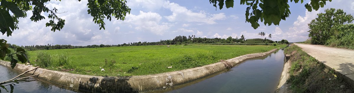 allanmaramot's tweet photo. @ Tiaong, Quezon https://t.co/1fKK4c9Ugv