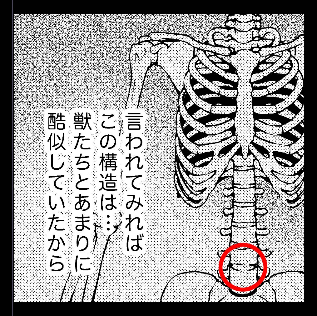 そういや、ついに昨日は医療用コルセットをつけなくても出勤して1日過ごせるようになったんですよ!
ばんざい🙌
座りっぱなしの仕事はこの辺を痛めやすいのでお気をつけください(なんの話だ)