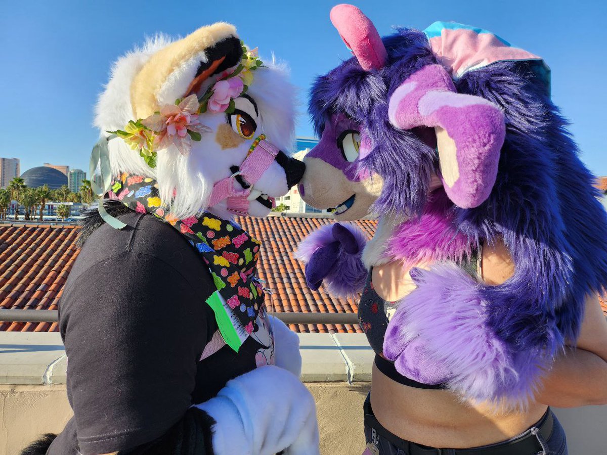 SnooziMoo's tweet photo. Ohoho, lvfc was an absolute blast 💕
Got to boop these two adorable ass beans 💙💙 @snaarlings @halcyberry 
#FursuitFriday #LVFC https://t.co/azMLeW4JQv