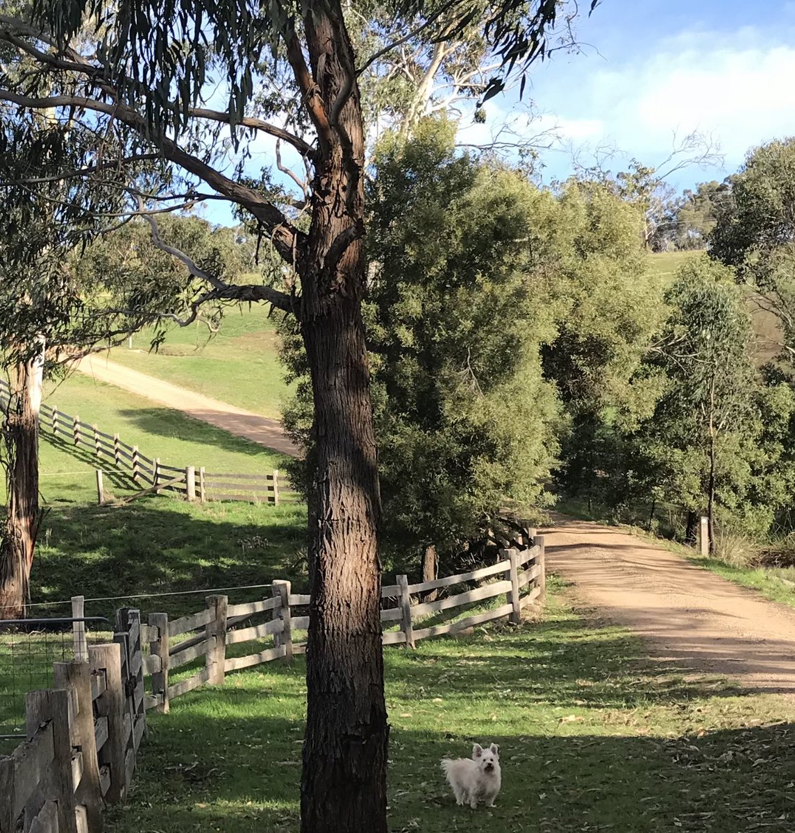 Emily Persson tweet media