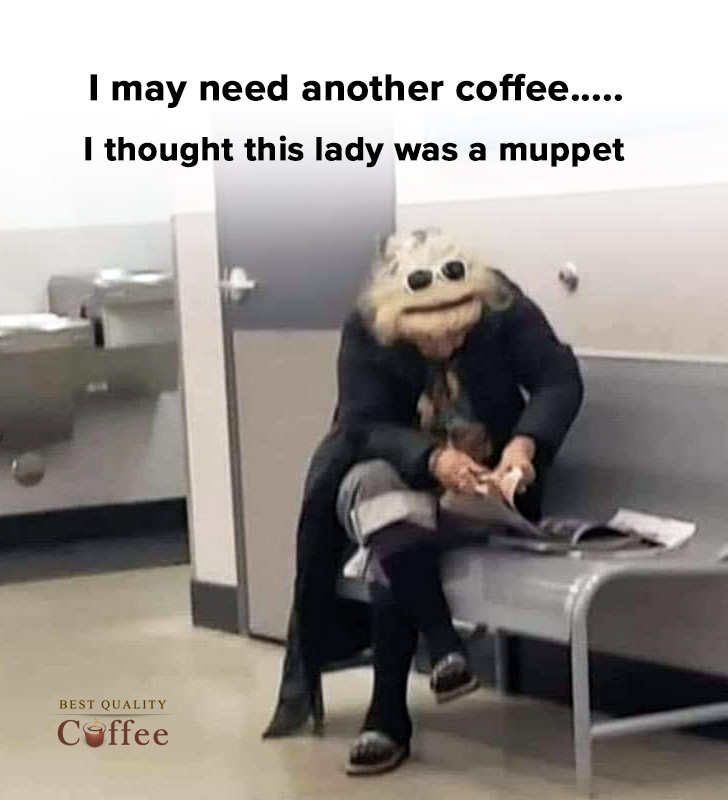 bqcoffee's tweet photo. Coffee makes you smarter ☕️☕️☕️
#coffeememes, #coffeelovers, #Smile https://t.co/oQgpcNOIwt