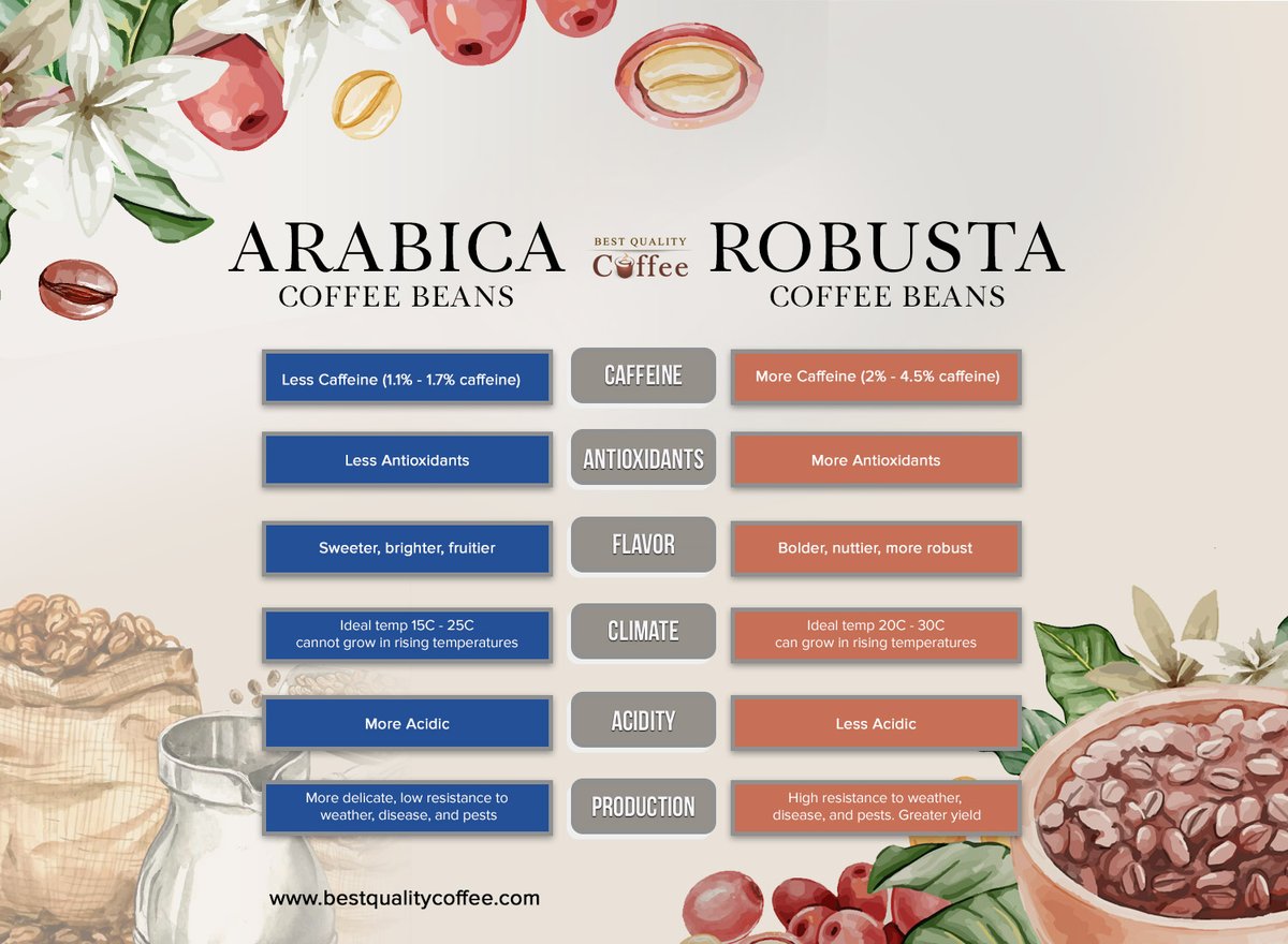 bqcoffee's tweet photo. Hey coffee lovers! Ever heard the terms Arabica and Robusta but had no idea what they meant? They are actually the two main varieties of coffee beans. Check out our visual below to understand the differences.
#arabica, #robusta, #coffeelovers
https://t.co/JCifVAX5v4 https://t.co/5vfsghh97Y
