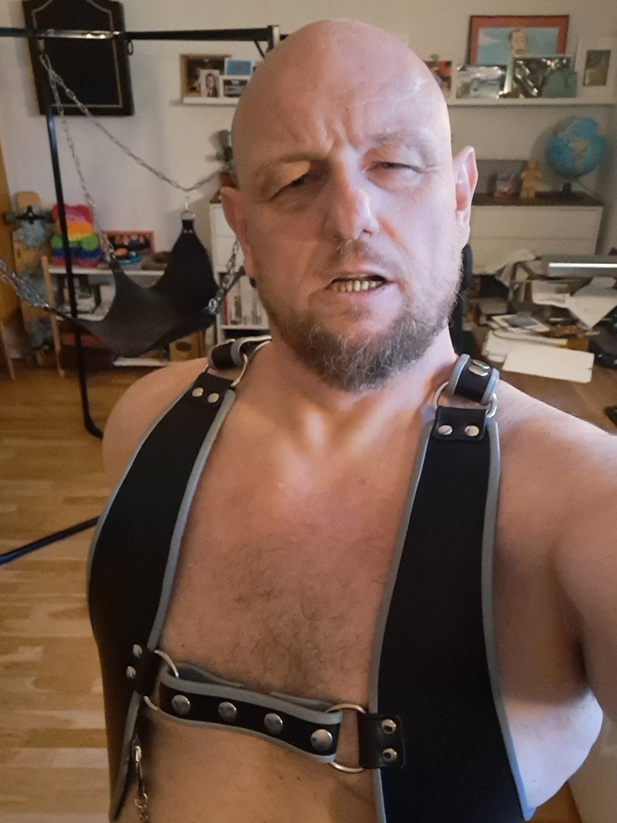 Medveklub's tweet photo. Ki baszna meg itt? Domináns aktivat keresek https://t.co/0SY4manLBN