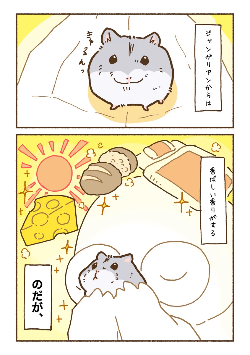 ジャンガリアンとゴールデンは香りも違う？！ハムスターの香りのお話を描いた漫画が話題に！