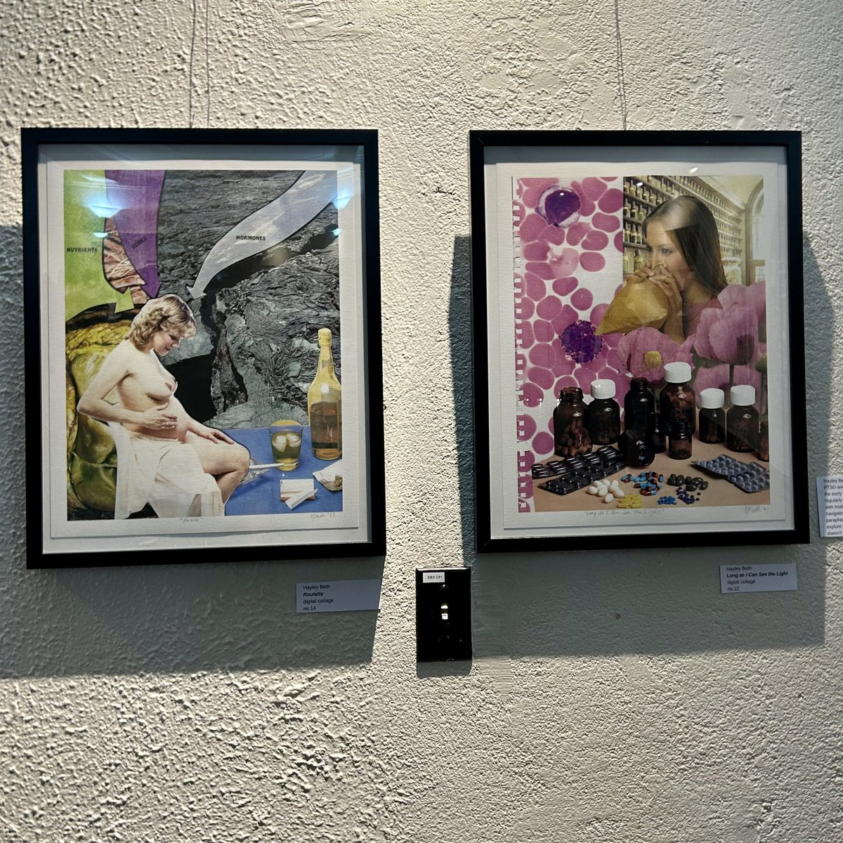 Hayley Beth tweet media