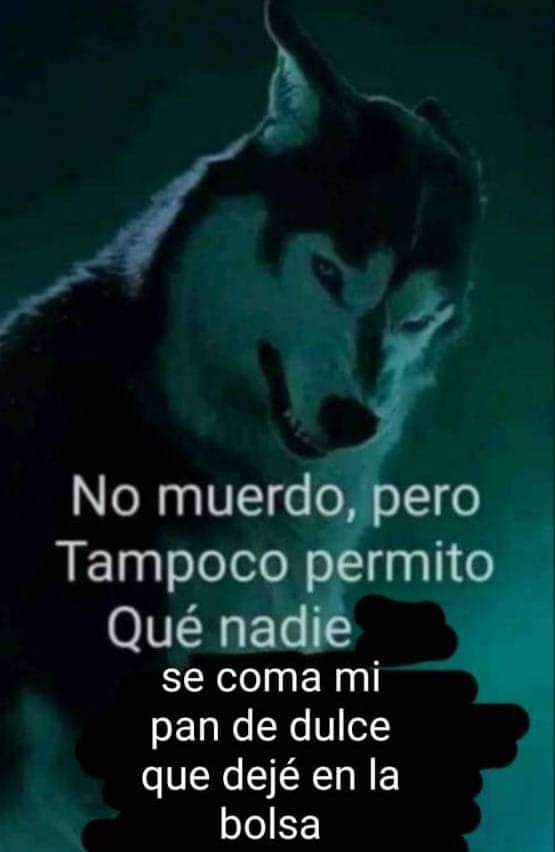 dankertix's tweet photo. Ojito ojito... ya hasta guardo mi pan en una caja fuerte 👀🧐
Guardo mi pan para poder ver #JesusEnUNIFE60 bien agustin 🤙 https://t.co/sZvdUuvd57
