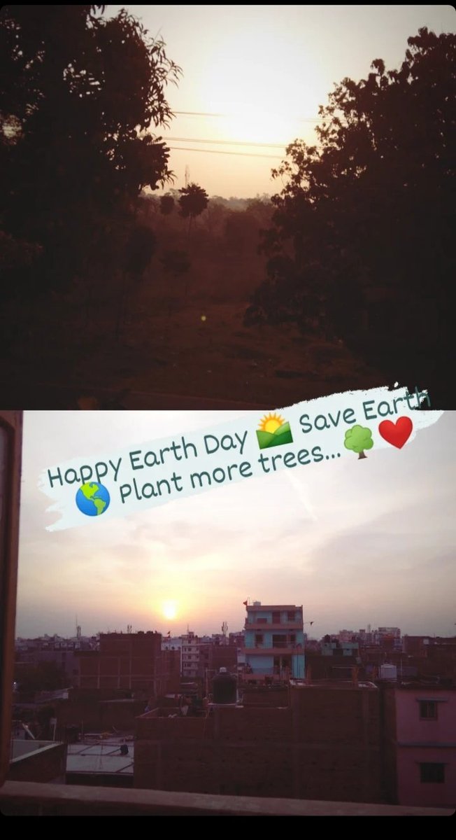 ScorpBab's tweet photo. How you want your mornings be like?? Just think of it!! Either Forest of greeneries or Forest of Cement..!! Which one??
#SaveEarth #PlantMoreTrees #plants #EarthDay2023 #EarthDay #Earth #SaveTrees #NatureBeauty https://t.co/R6kHyDaxJr