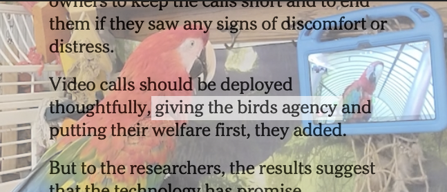 OtherWordly tweet media