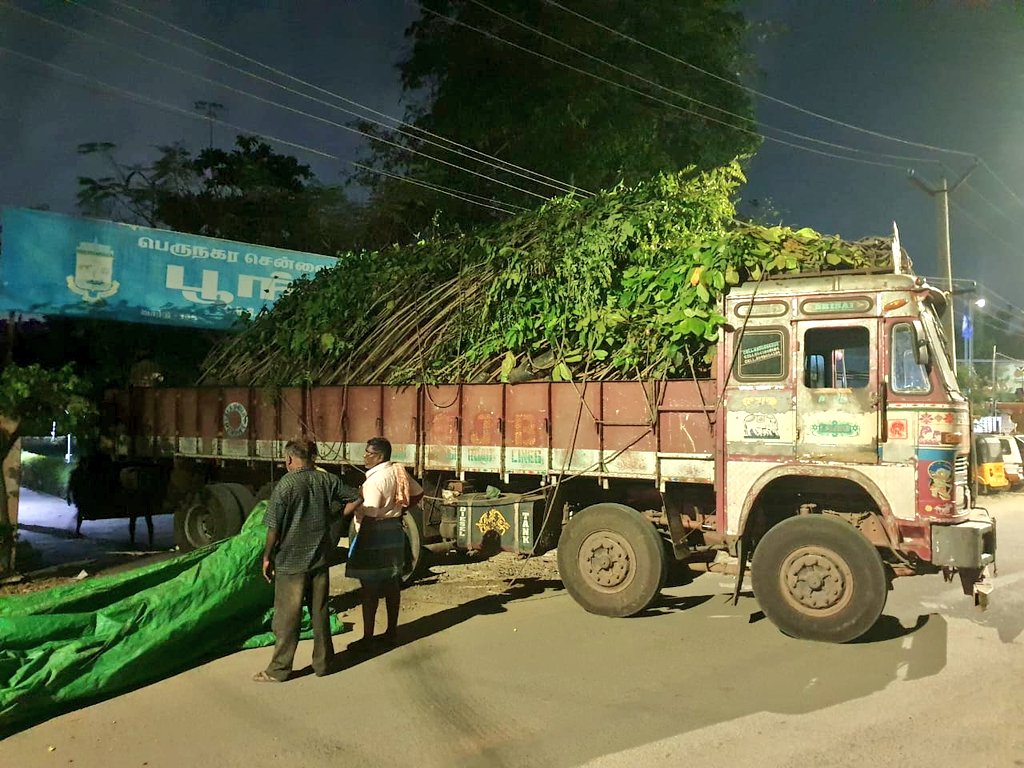 Dear #Chennaiites #GCC takes enormous efforts in #GreeningChennai. For this #EarthDay2023, 10000 tree saplings are being planted in Chennai Parks. Yesterday, 8,000 tall 8-10 feet tree saplings have reached #Chennai. 2,000 more are reaching by tomorrow. #ChennaiCorporation