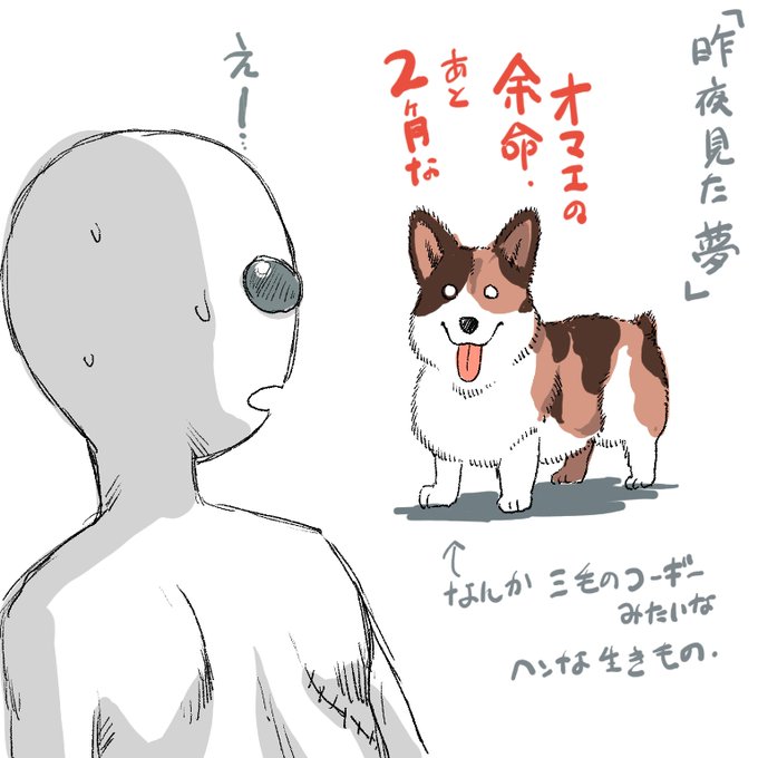 昨夜はヘンな夢を見た 